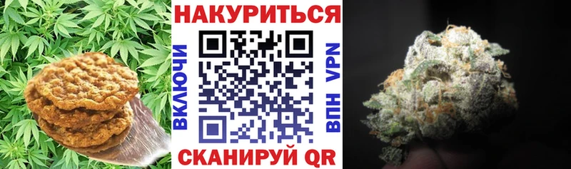 blacksprut как войти  наркота  shop клад  Canna-Cookies марихуана  Можга 