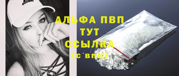 сатива Аркадак
