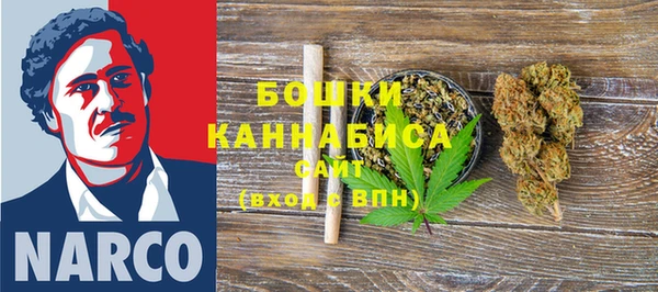 сатива Аркадак