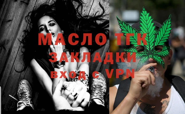 сатива Аркадак