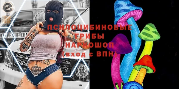 прущая мука Арсеньев