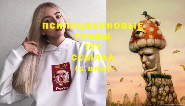эйфоретик Армянск