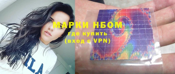 сатива Аркадак