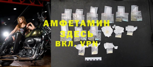 сатива Аркадак