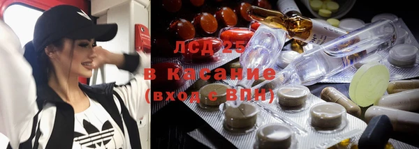 сатива Аркадак