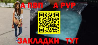 спайс Кингисепп