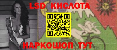 спайс Кингисепп