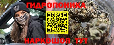 спайс Кингисепп