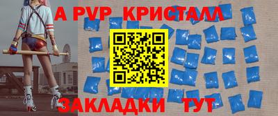 спайс Кингисепп