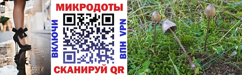 как найти закладки  MEGA tor  Галлюциногенные грибы GOLDEN TEACHER  Можга 