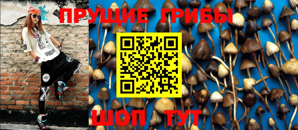 Галлюциногенные грибы мухоморы Можга