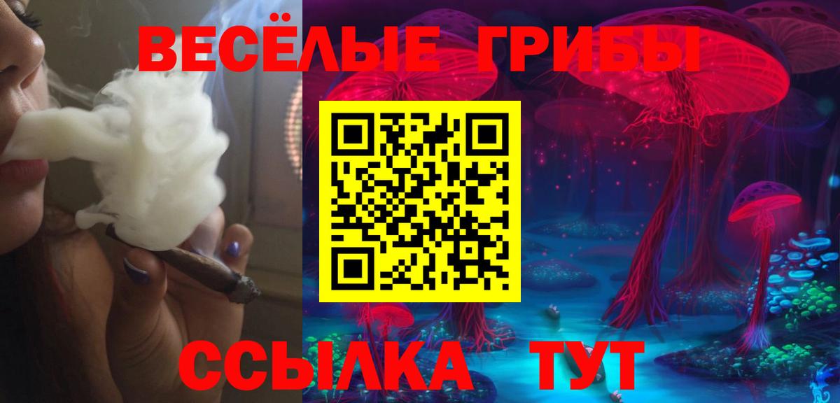 Можга  Псилоцибиновые грибы Cubensis  Вход с VPN  Галлюциногенные грибы Magic Shrooms 